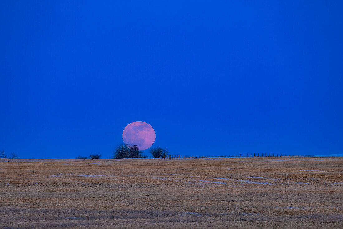 The rising of the Full Moon just before Easter weekend,on Wednesday,April 5,2023,with Good Friday two days later on April 7. The Moon appears quite pink and in a bright blue sky,as moonrise this night was a few minutes before sunset. However,the Sun was in clouds to the northwest and not lighting the foreground.