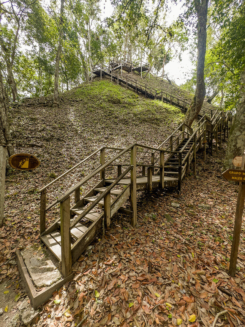 Die Treppe zur Spitze von Struktur 117 in den Maya-Ruinen im Yaxha-Nakun-Naranjo-Nationalpark in Guatemala. Es handelt sich um einen hohen, nicht ausgegrabenen Hügel in einem größeren astronomischen Komplex.