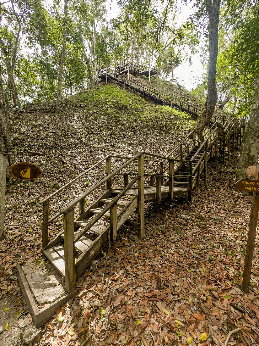 Stairway to the top of of Structure 117 in the Mayan ruins in Yaxha-Nakun-Naranjo National Park,Guatemala. It is a tall unecavated mound in the larger astronomical complex.