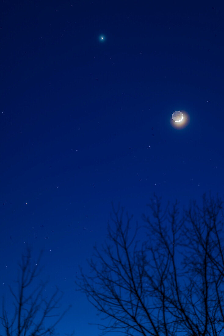 Dies ist die Ansammlung der zunehmenden Mondsichel am Abend des 22. April 2023 unterhalb der Venus und in der Nähe des Hyaden-Sternhaufens im Stier, hier inmitten einiger silhouettierter Baumzweige. Der schwache Erdschein ist auf der dunklen Seite des Mondes sichtbar. Hohe Wolken haben das natürliche Leuchten von Mond und Venus verstärkt.