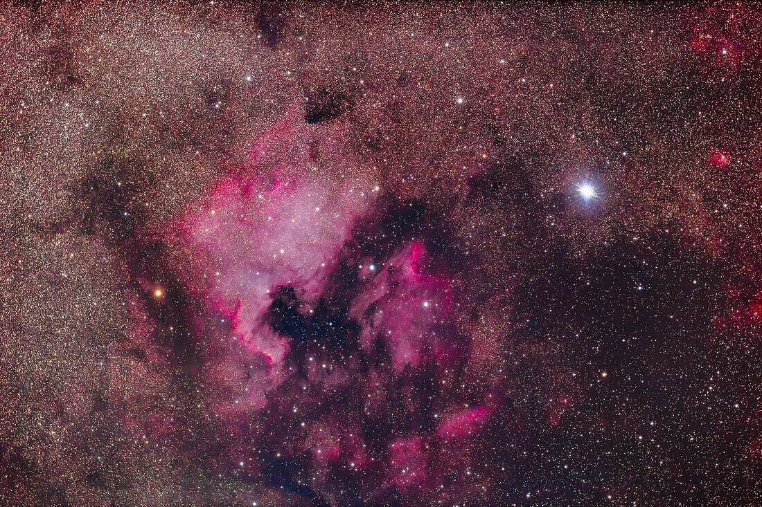 The North America Nebula (left of centre) and the Pelican Nebula (at centre) complex in Cygnus,framed with the bright star Deneb. The Cygnus Arc of IC 5068 is at bottom. Smaller Sharpless catalogue nebulas are at upper right,notably Sh 2-112. The nebulas show up well despite this being a "stock" camera,with no filters employed. The field of view is about 7.5° by 5°,similar to binoculars. This is a stack of 5 x 5-minute exposures with the Sharpstar 61 EDPH III apo refractor and its 0.75x Reducer for f/4.4,and the old Canon 6D DSLR at ISO 800,all on the ZWO AM5 mount autoguided with the ASIAir,a
