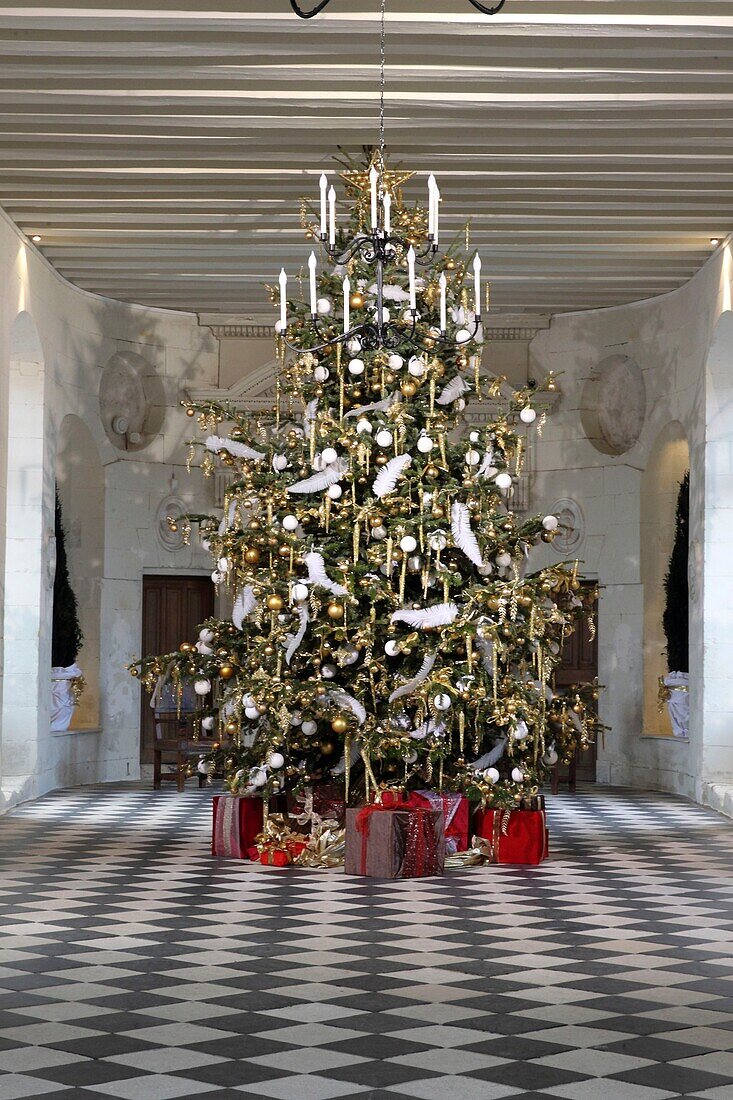 France, Indre-et-Loire, Loire Valley classified World Heritage by UNESCO, Chenonceaux, Chenonceau Castle, Christmas decoration