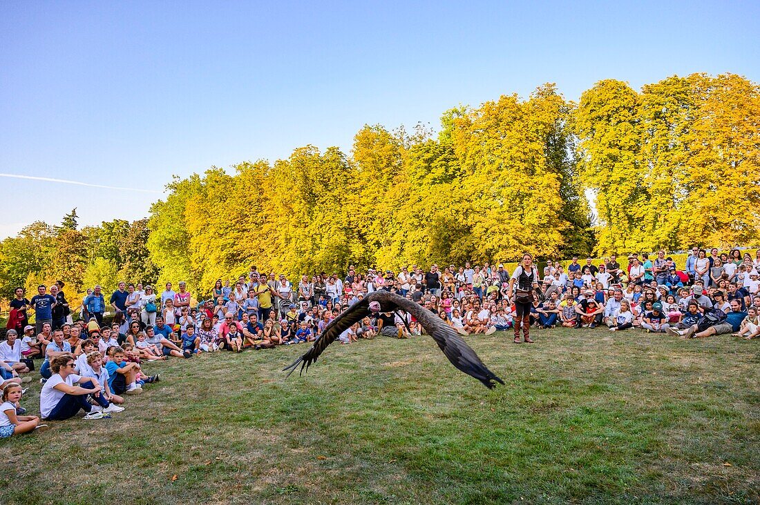 France, Yvelines (78), les Mesnuls, Les Mesnuls castlle,Heritage Day 2019, raptor training show