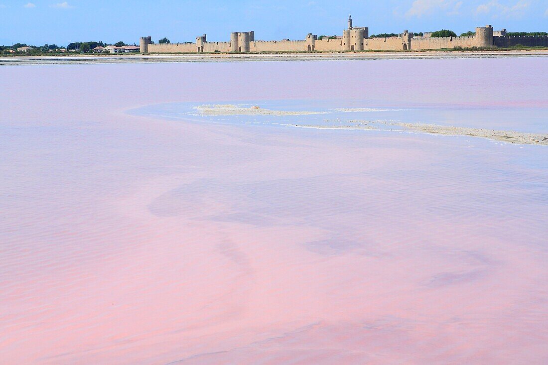 France, Gard, Petite Camargue, Aigues-Mortes, Marais de Peccais, Salins d'Aigues-Mortes (Salins du Midi) with the medieval city walls at the bottom