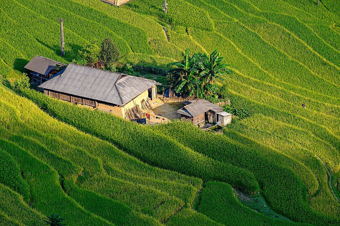 Vietnam, Ha Giang, Hoang Su Phi, ein Dorf der ethnischen Gruppe der La Chi inmitten von Reisfeldern in einer Terrasse