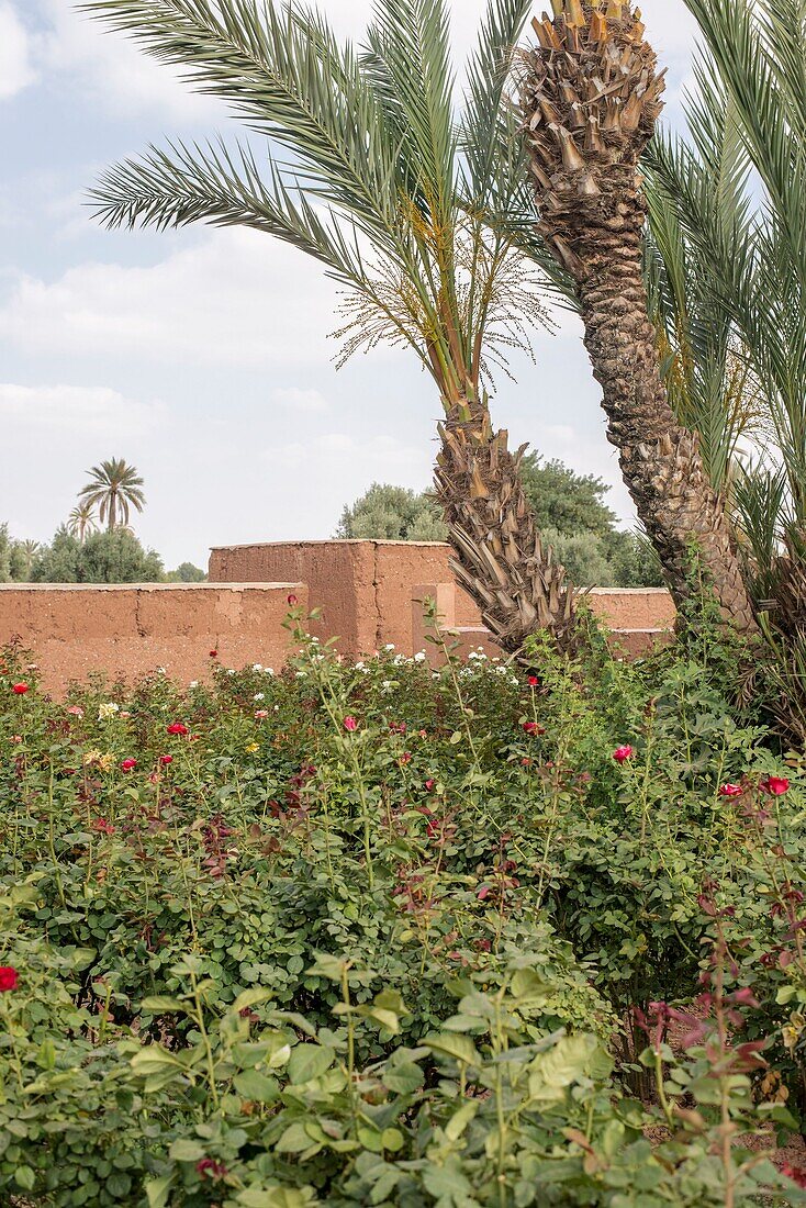 Marokko, Marrakesch, Beldi Country Club, Geschichte: Märchenhafter Rosengarten