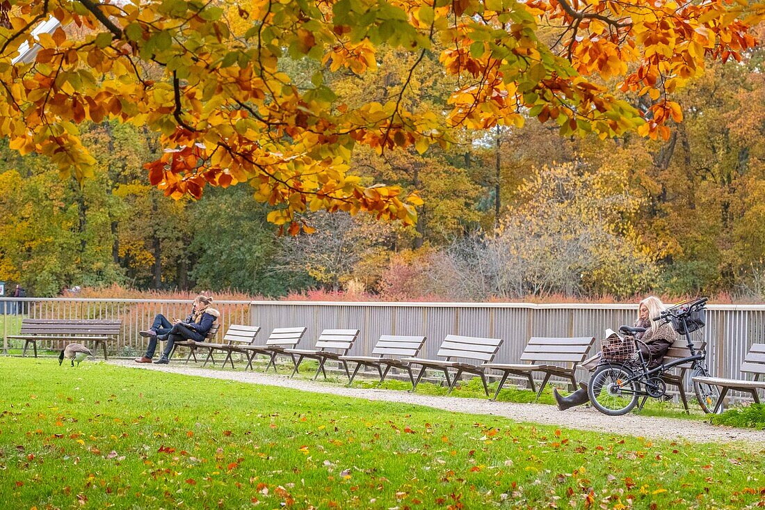 France, Paris, Bois de Vincennes, the Floral Park in autumn