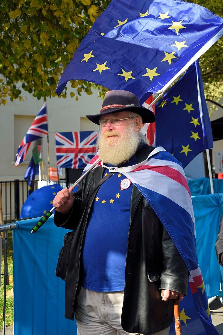 Vereinigtes Königreich, London, City of Westminster, Protest gegen den Brexit im britischen Parlament, Europaflagge