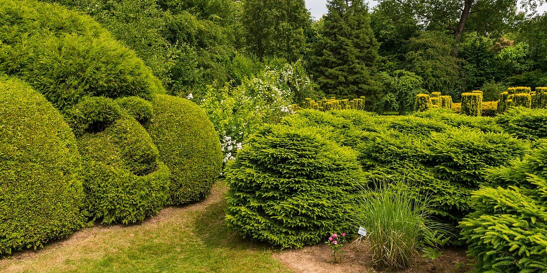 Frankreich, Pas de Calais, Séricourt, Les Jardins de Séricourt, Park von mehr als 4 Hektar, der als einer der schönsten Gärten Frankreichs anerkannt ist, vom Kulturministerium als bemerkenswerter Garten bezeichnet und zum Garten des Jahres 2012 gewählt wurde