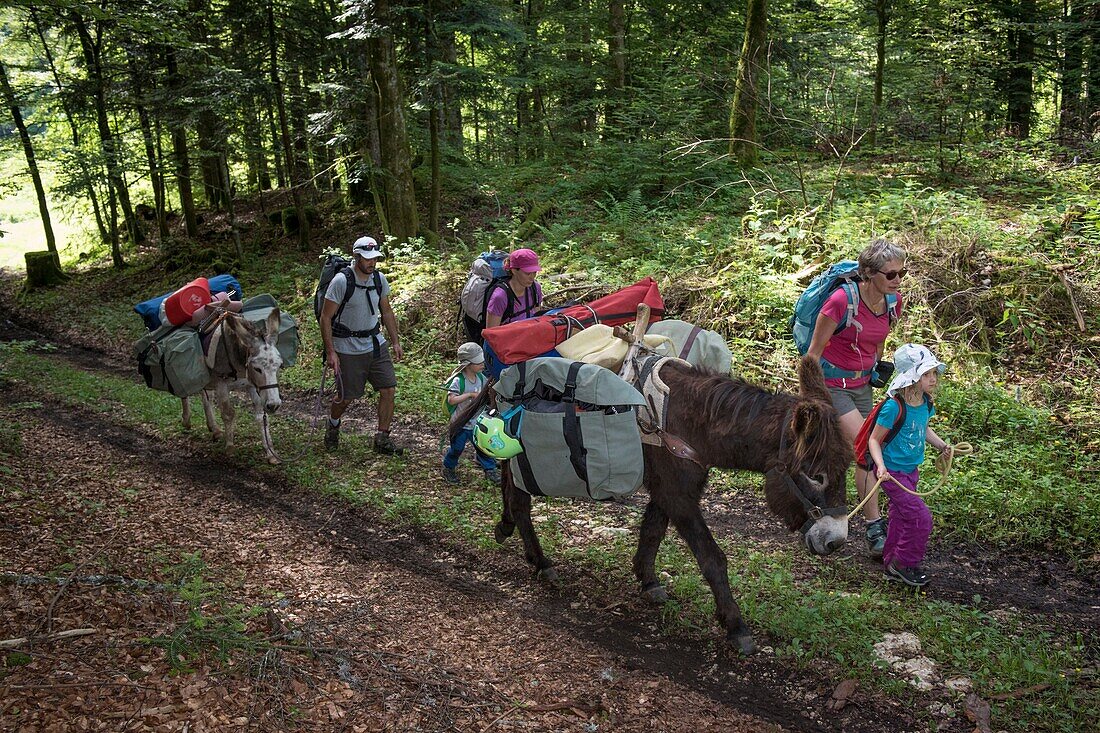 Frankreich, Jura, Prenovel, Familientrekking mit einem Esel in den Wäldern des Juragebirges