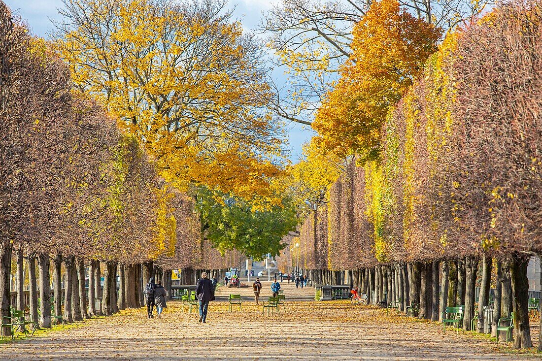 France, Paris, the Tuileries garden in autumn, terrace of the water's edge