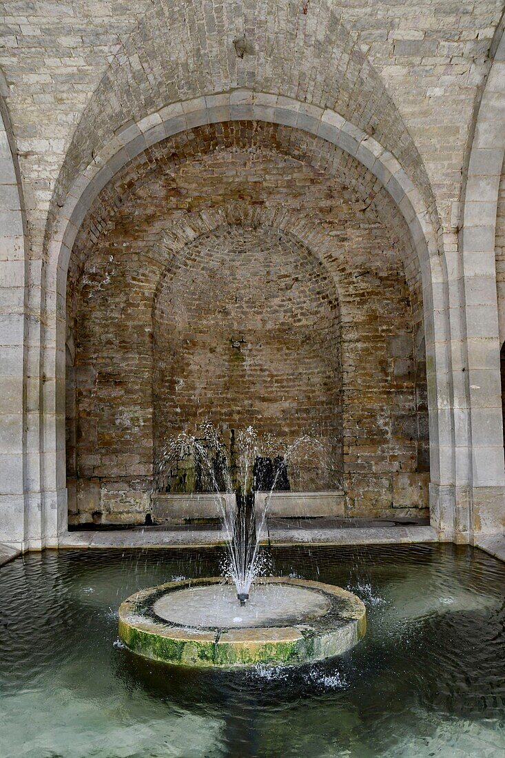 France, Haute-Saône, Bucey-lès-Gy, France, Fountain of Saint-Maurice, washhouse of 1828