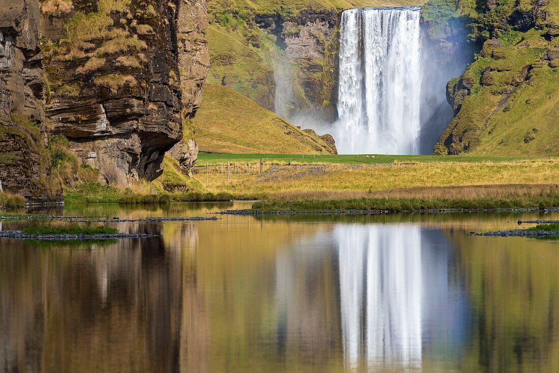 Iceland, Sudurland, Skogafoss