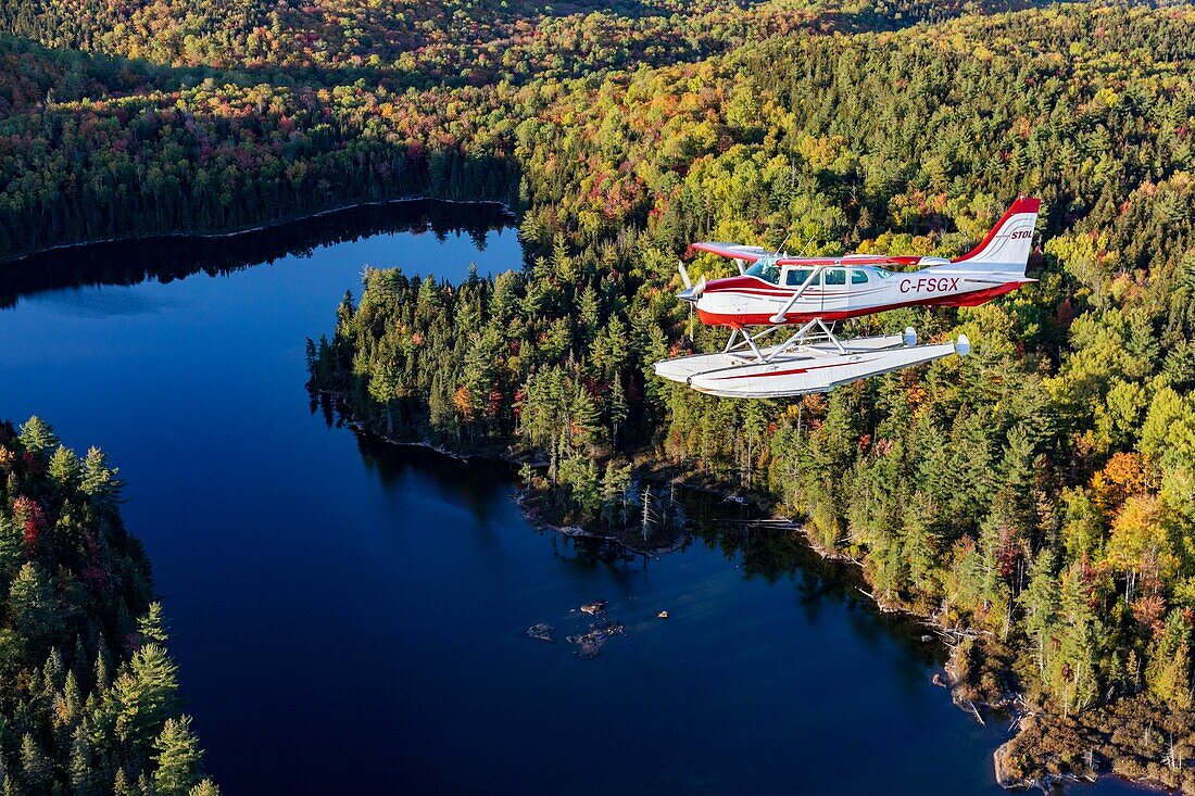 Kanada, Provinz Quebec, Region Mauricie, Flug mit der Firma Hydravion Aventure im Altweibersommer, Cessna 206 über dem borealen Wald (Luftaufnahme)