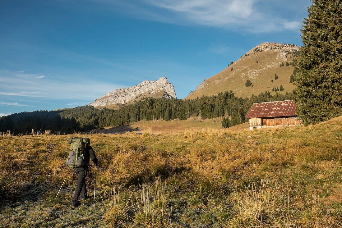 Frankreich, Haute Savoie, Bornes-Massiv, Glieres, Wandertag 4, zu den Chalets von Tinnaz und der Spitze von Sous Dine und Roche Parnal