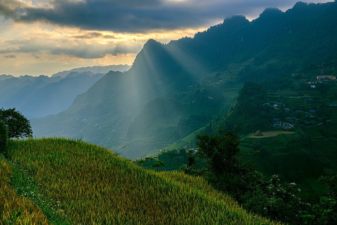 Vietnam, Bac Ha, Landschaft, Reisfelder in Terrasse