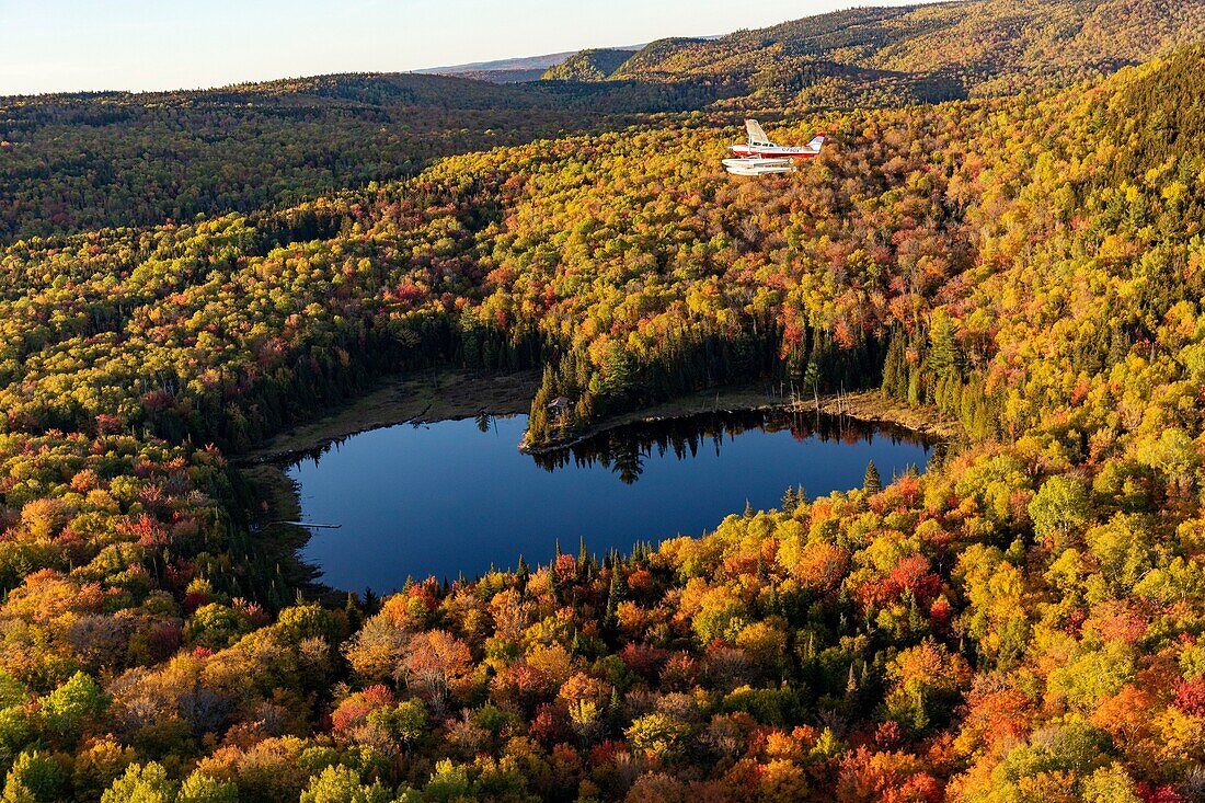 Kanada, Provinz Quebec, Region Mauricie, Flug mit Hydravion Aventure im Altweibersommer, Cessna 206 über dem borealen Wald, herzförmiger See (Luftaufnahme)