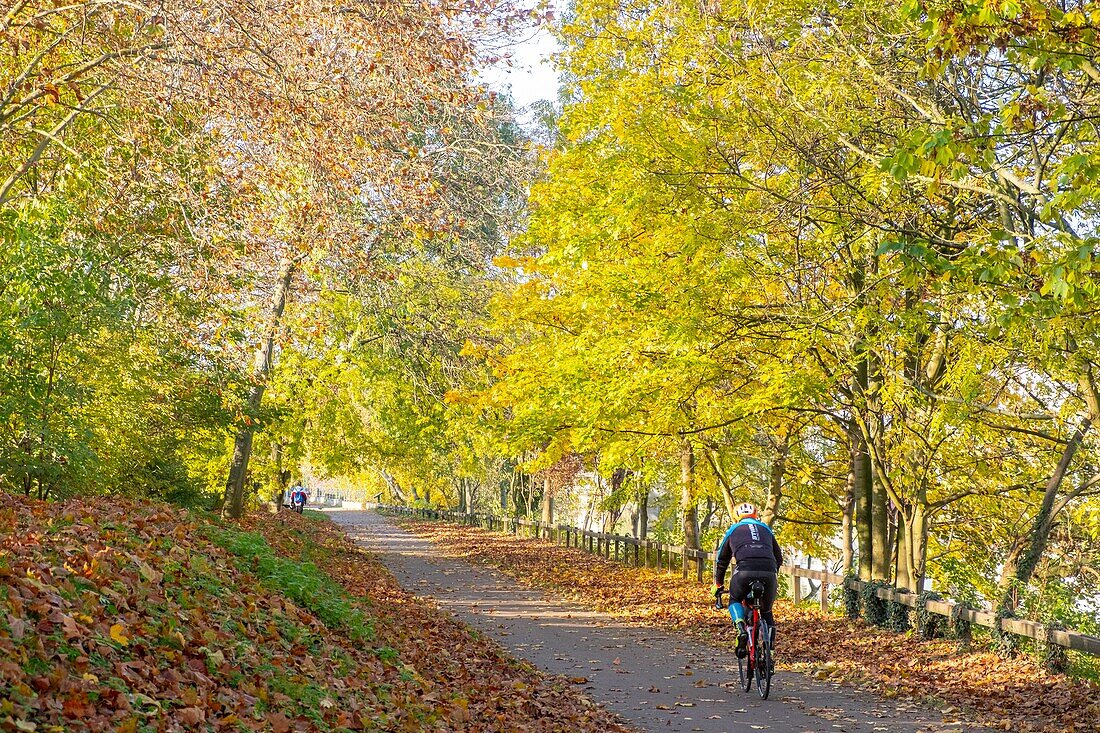 France, Val de Marne, Joinville le Pont, the edges of Marne in autumn