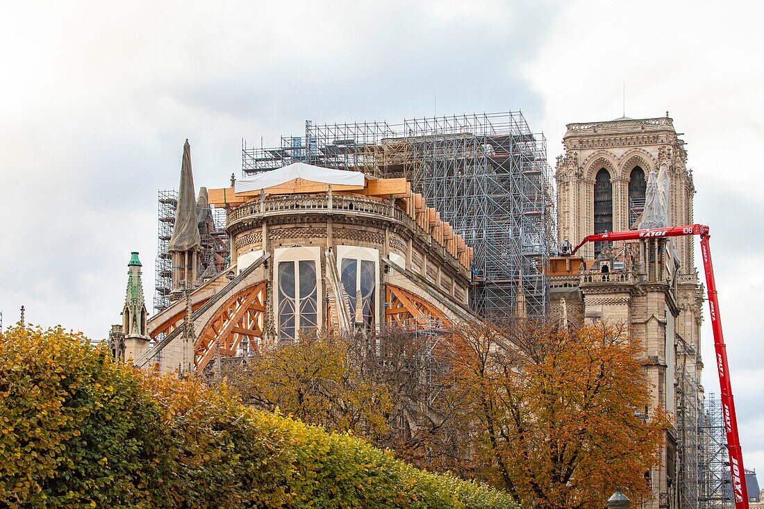 France, Paris, Ile de la Cite, Notre Dame Cathedral in autumn