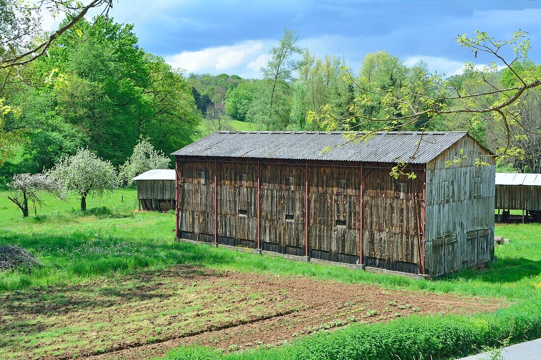 Frankreich, Dordogne, Umgebung von Thonac, Scheune zum Trocknen von Tabak