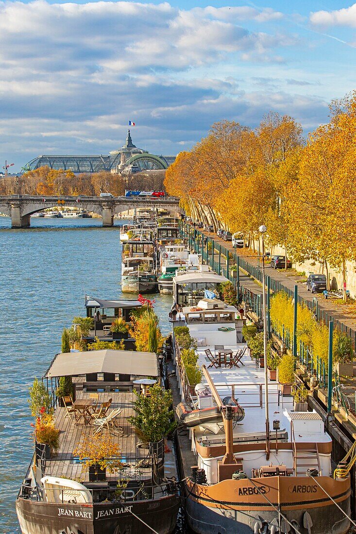 Frankreich, Paris, Gebiet, das von der UNESCO zum Weltkulturerbe erklärt wurde, die Ufer der Seine, Hausboot am Hafen der Champs Elysees und der Grand Palais