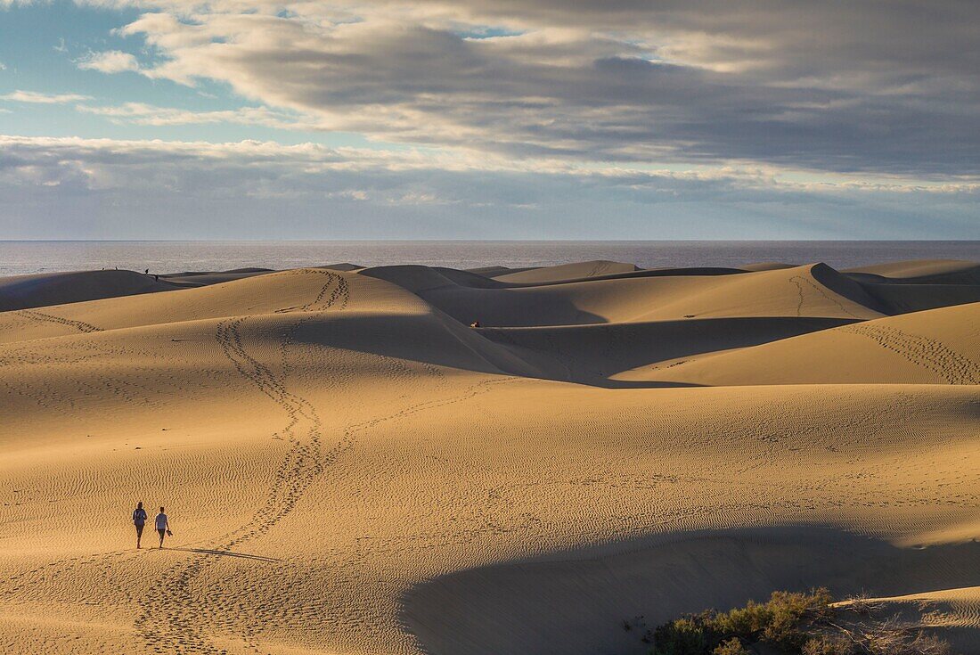 Spain, Canary Islands, Gran Canaria Island, Maspalomas, Maspalomas Dunes National Park with visitor