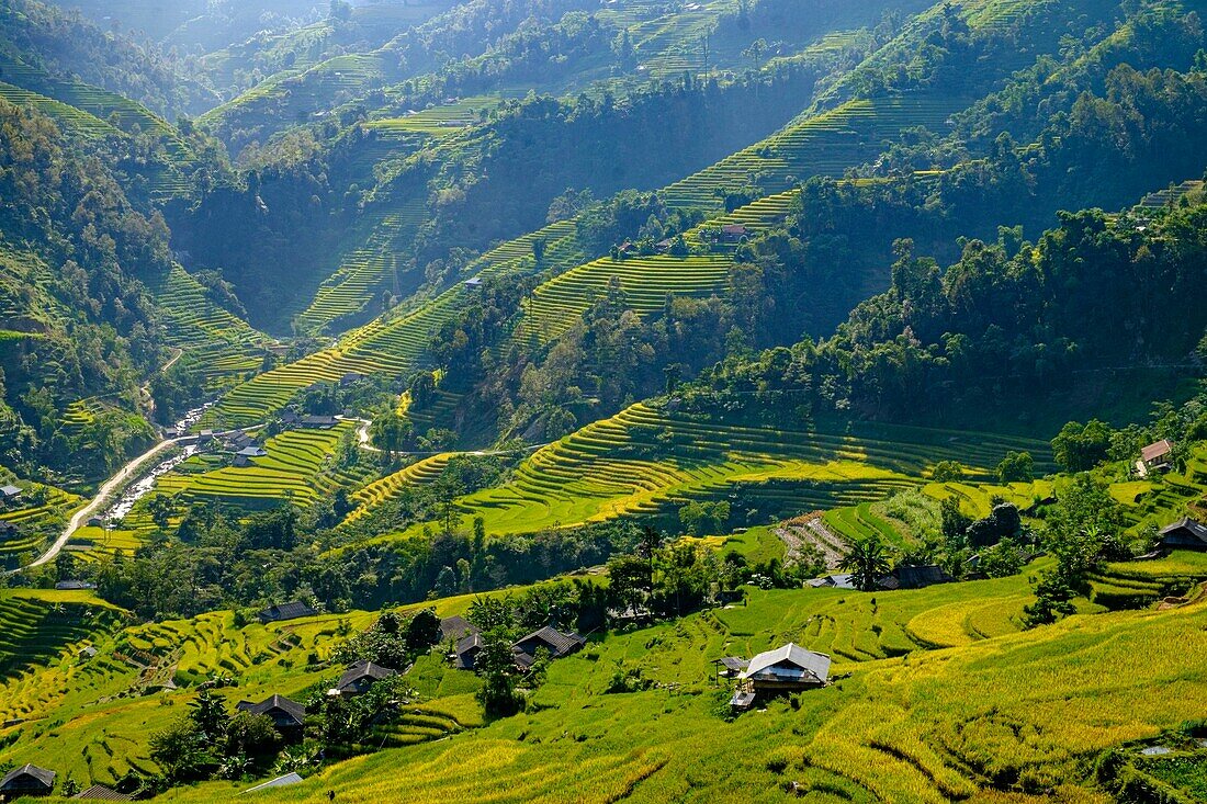 Vietnam, Ha Giang, Hoang Su Phi, Terrassenreisfelder