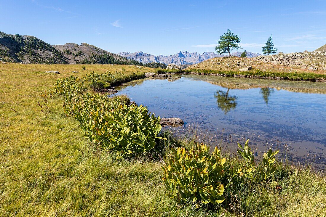 France, Alpes-Maritimes, Mercantour National Park, small lake under the crest of Morgon