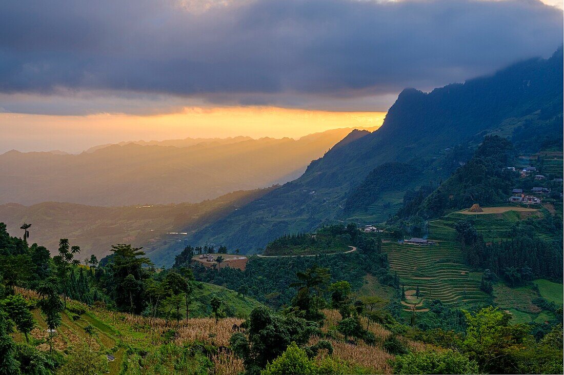 Vietnam, Bac Ha, Landschaft, Reisfelder in Terrasse