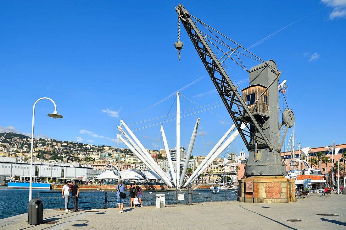 Italy, Liguria, Genoa, Porto Antico, the port with the panoramic lift designed by Renzo Piano and the largest aquarium of Europe