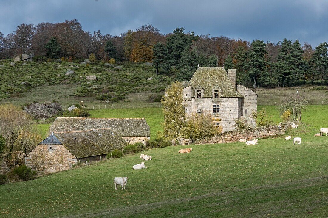 France, Lozere, Fraisse castle, Aubrac Regional Nature Park, Parc naturel régional de l'Aubrac, Bes valley