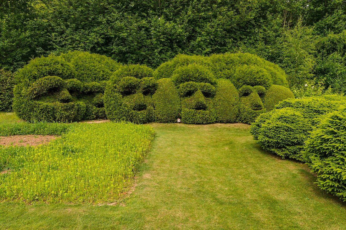 France, Pas de Calais, Séricourt, Les Jardins de Séricourt, park of more than 4 hectares recognized as one of the most beautiful gardens of France labeled Remarkable Garden by the Ministry of Culture and elected Garden of the year 2012 