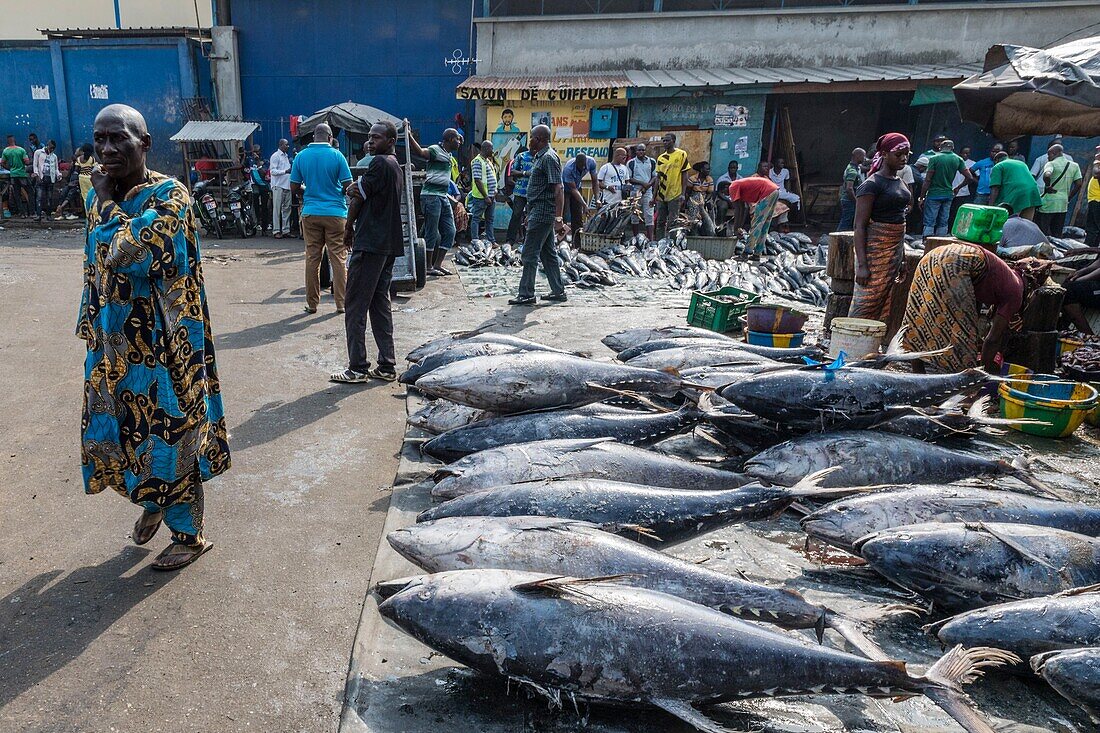 Ivory Coast, Abidjan,fish market