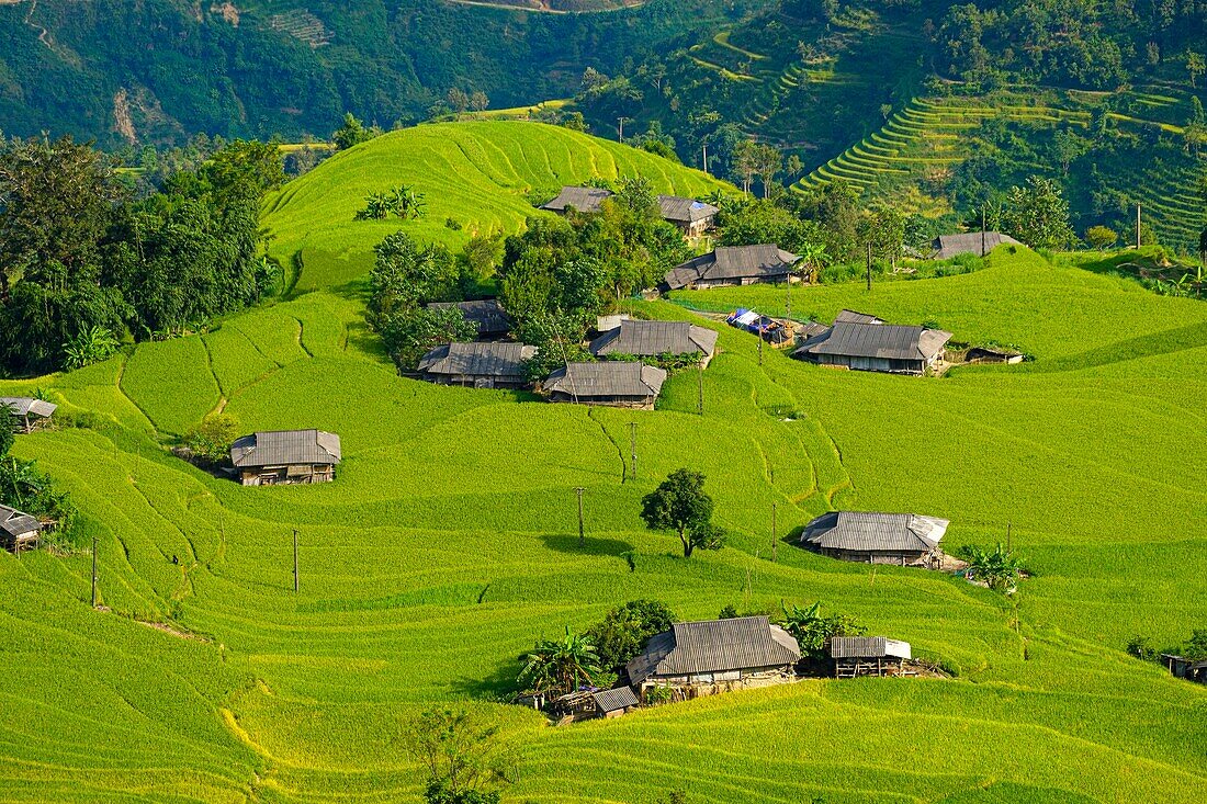 Vietnam, Ha Giang, Hoang Su Phi, ein Dorf der Volksgruppe der La Chi inmitten von Reisfeldern auf einer Terrasse