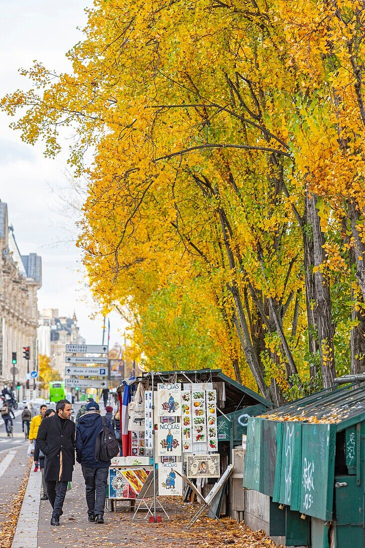 Frankreich, Paris, die Buchhändler des Quai Voltaire im Herbst