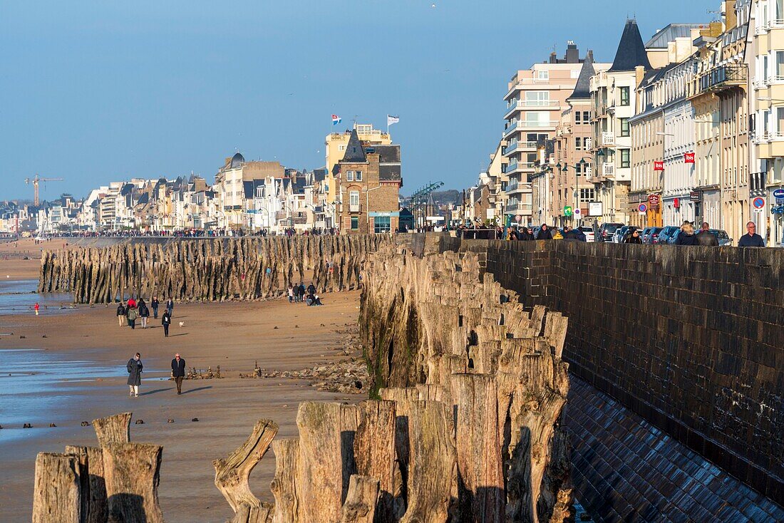 France, Ille et Vilaine, Saint Malo, Sillon beach, the oak piles on the beach protecting the ramparts from the waves