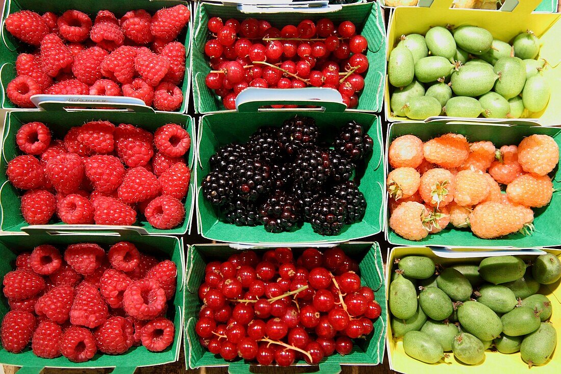 Frankreich, Indre et Loire, Loire-Tal, von der UNESCO zum Weltkulturerbe erklärt, Tours, Markthalle, Obstausstellung