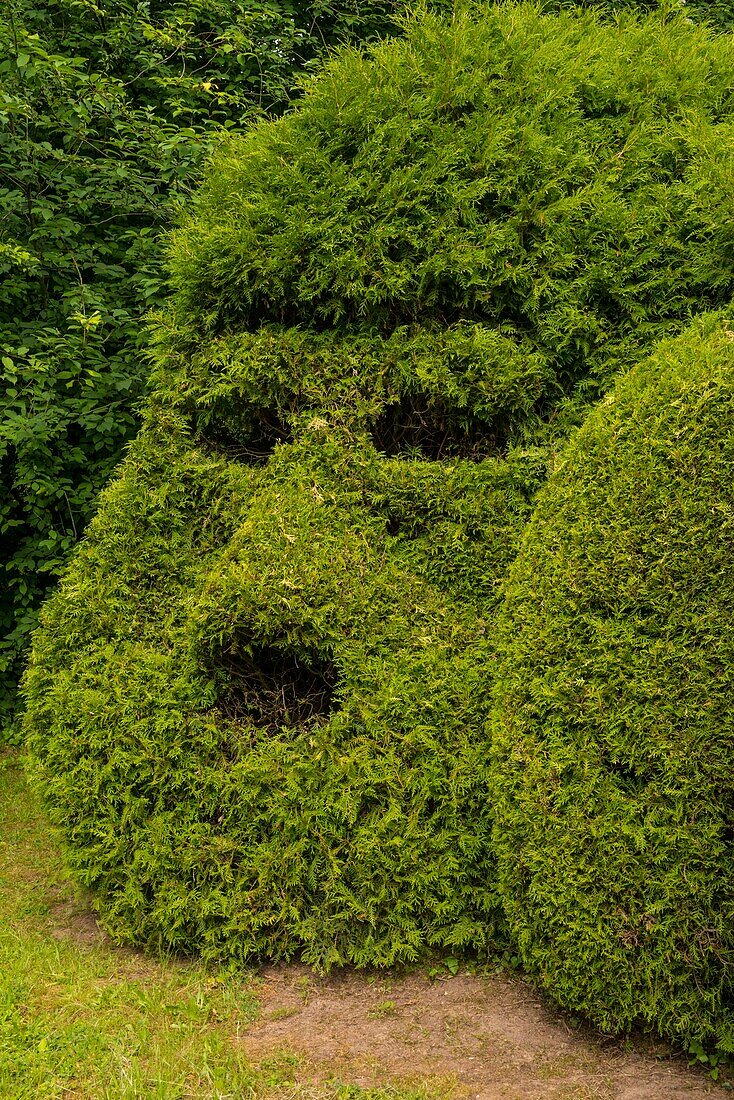 Frankreich, Pas de Calais, Séricourt, Les Jardins de Séricourt, Park von mehr als 4 Hektar, der als einer der schönsten Gärten Frankreichs anerkannt ist, vom Kulturministerium als bemerkenswerter Garten bezeichnet und zum Garten des Jahres 2012 gewählt wurde