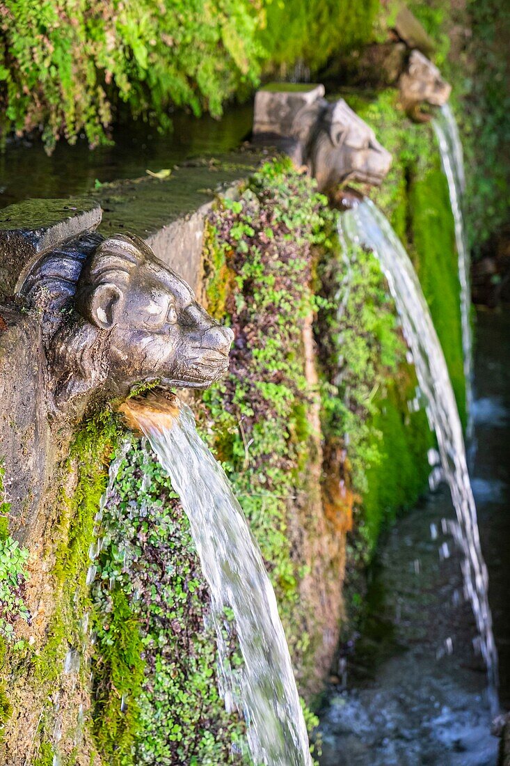 Greece, Cyclades archipelago, Andros island, Menites, marble Lion head fountains