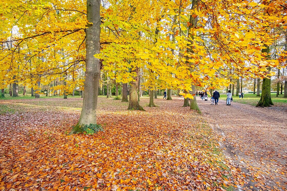 Frankreich, Paris, Bois de Vincennes, der Blumenpark im Herbst