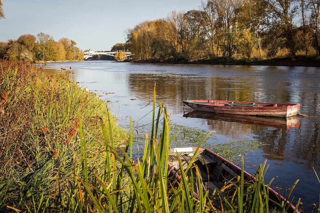 Frankreich, Indre et Loire, Loire-Tal als Weltkulturerbe der UNESCO, Tours, die Loire in Tours, Boot auf der Loire westlich der Stadt vertäut