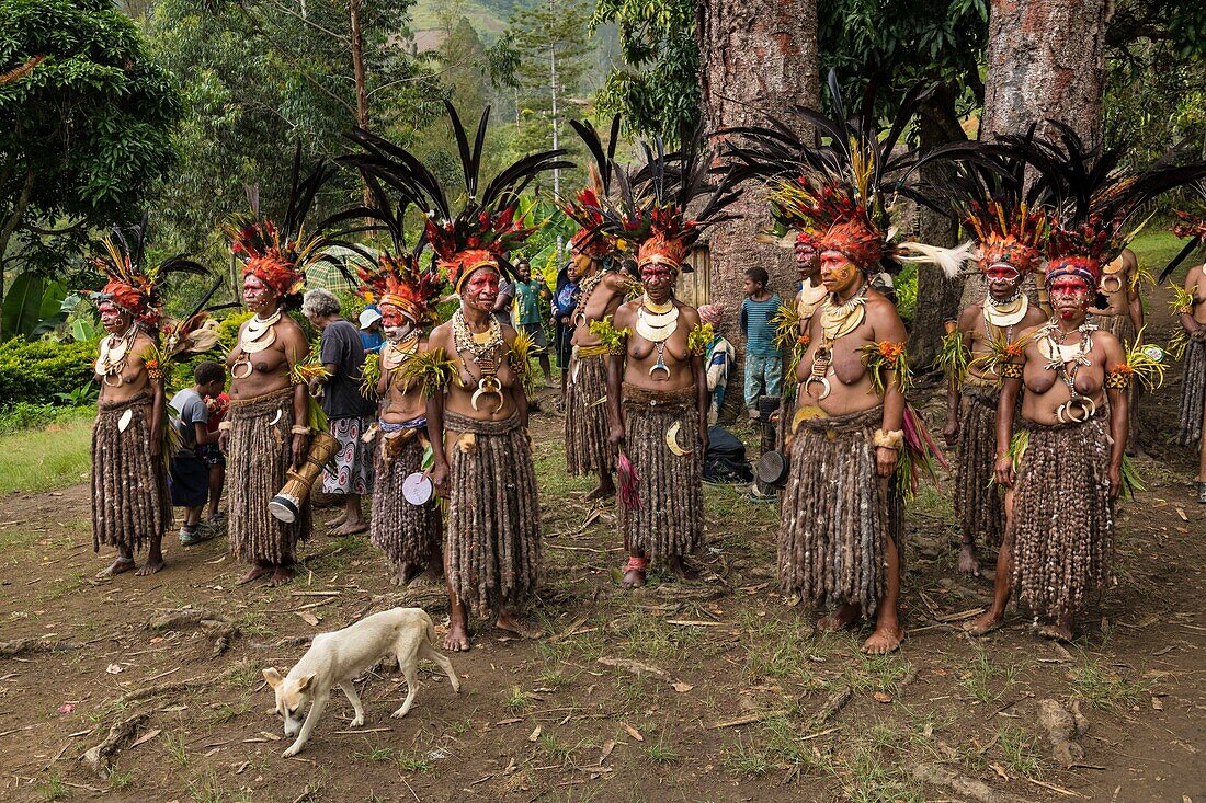 Papua New Guinea, Simbu Province, Kagaï village, Pagau tribe, traditional party called sing-sing