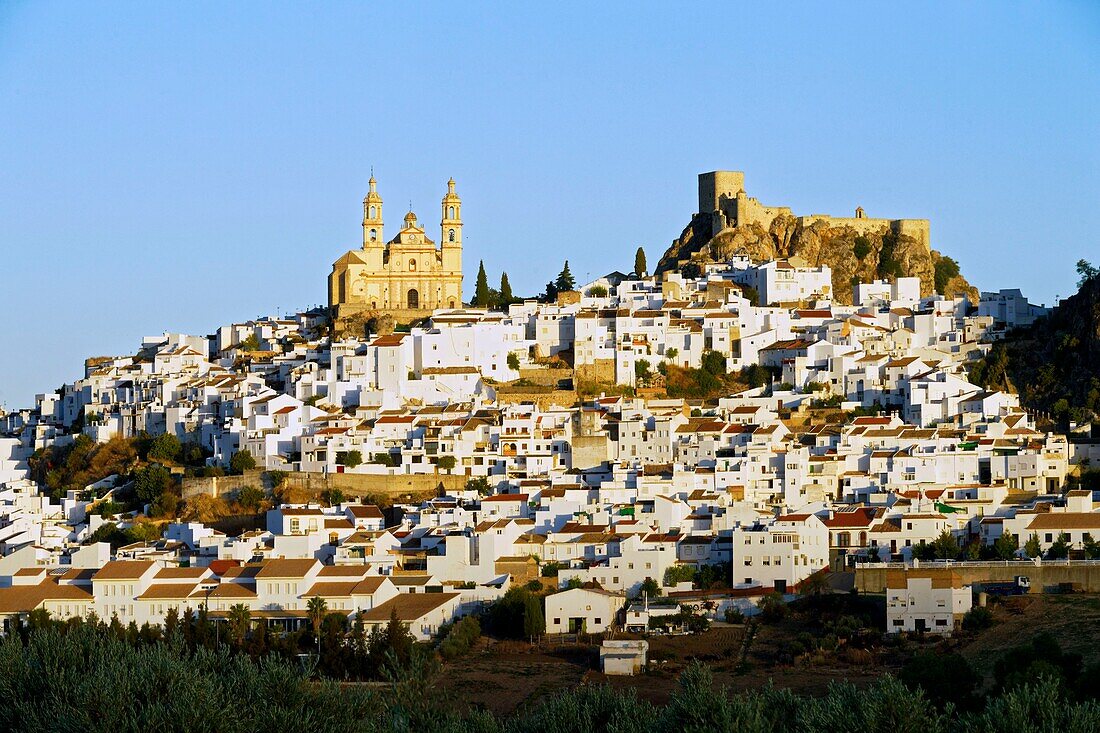 Spain, Andalucia, Cadiz province, white village of Olvera, the Church of Our Lady of the Incarnation and the Arabic fortress