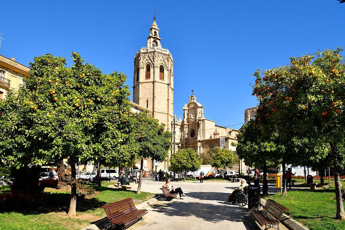 Spain, Valencia, old town, plaza de la Reina and St Mary of Valencia cathedral