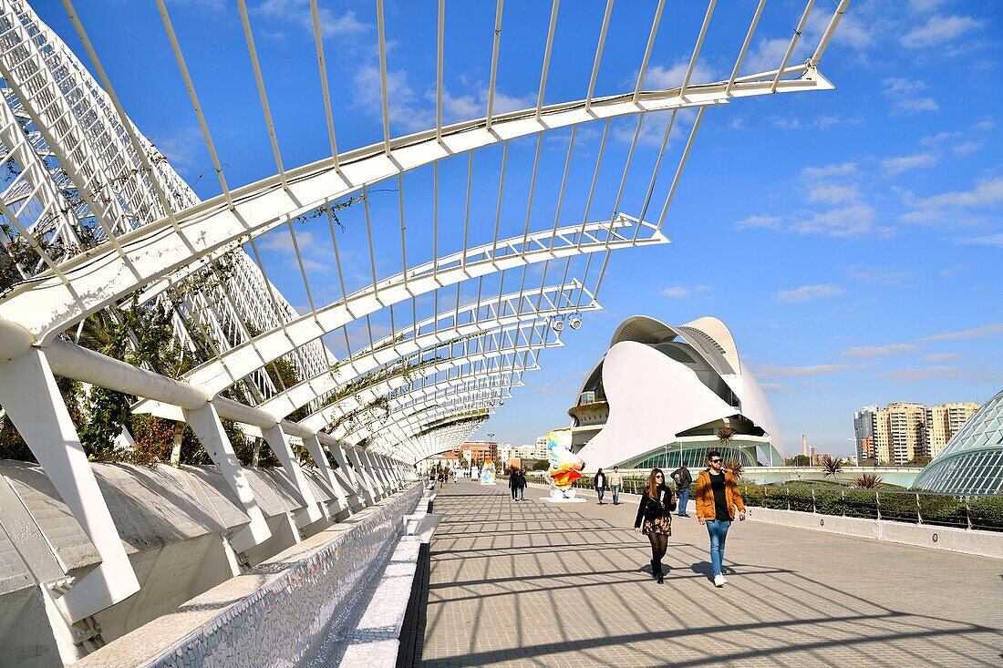 Spain, Valencia, City of Sciences and Arts, Palace of Arts Reina Sofia, El Palau de les Arts Reina Sofia, Opera House, by architect Santiago Santiago Calatrava