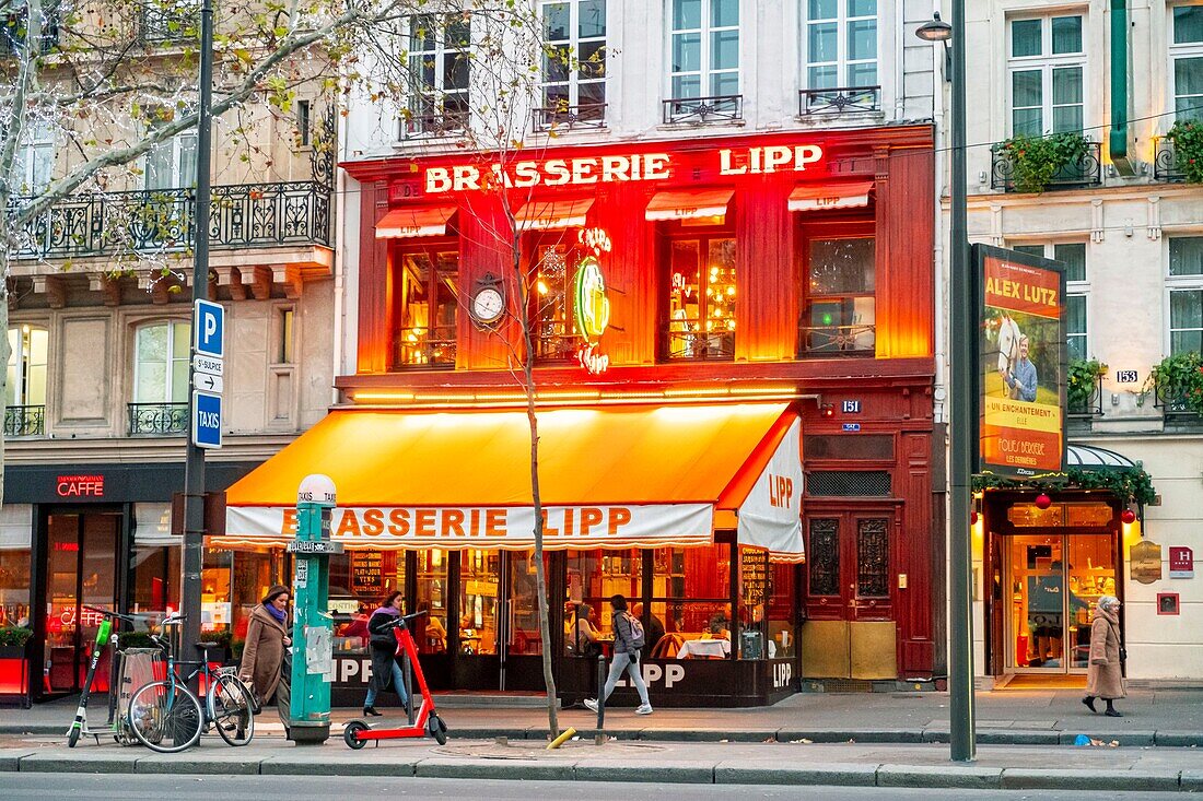 Frankreich, Paris, Stadtteil Saint Germain des Près, die Lipp-Brauerei zu Weihnachten