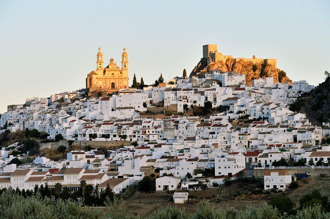 Spain, Andalucia, Cadiz province, white village of Olvera, the Church of Our Lady of the Incarnation and the Arabic fortress