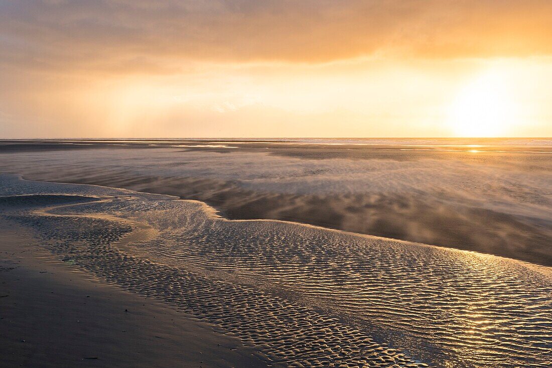 Frankreich, Somme, Baie de Somme, Quend-Plage, Stürmischer Tag in Quend-Plage: Ein starker Wind fegt über den Strand und lässt den Sand fliegen, während die Blitze sich mit den Körnern abwechseln