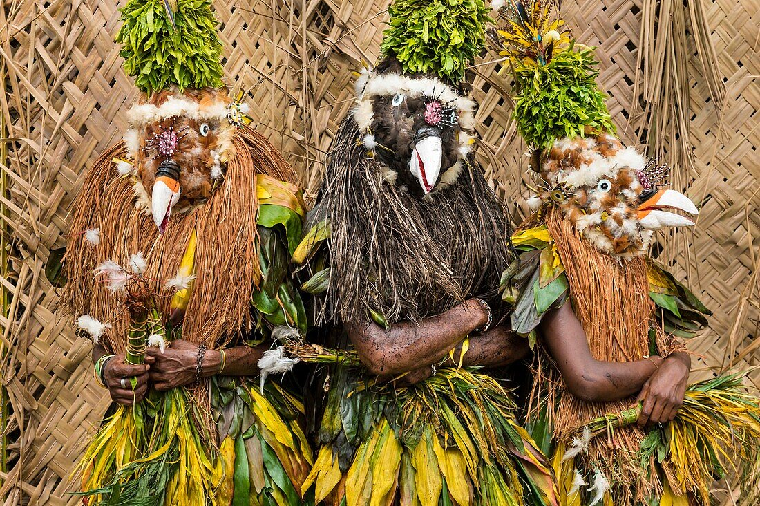 Papua New Guinea, Gazelle peninsula, New Britain island, East New Britain province, Rabaul, Kokopo, National Mask Festival, members a sing-sing group dressed like birds