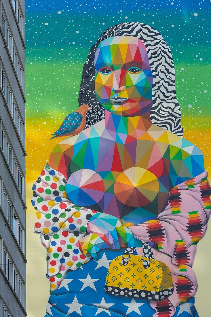 Frankreich, Paris, Wandmalerei an der Fassade eines Wohnhauses namens Mona Lisa des Straßenkünstlers Okuda San Miguel in der Avenue d'Ivry